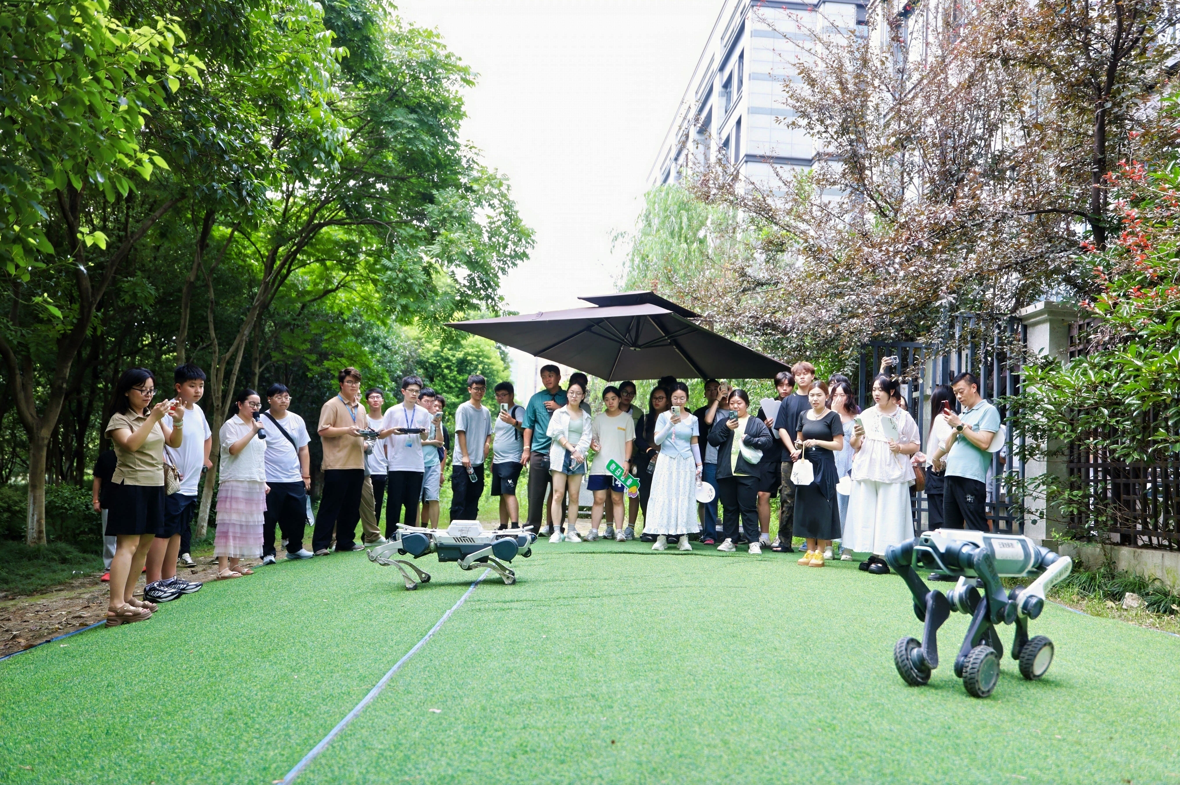 營員們走進云深處科技，近距離觀摩機器狗實操演示（杭州市總工會供圖）