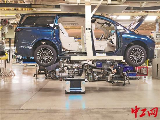 3109784_tpzz_1756133763388_b 3109784_tpzz_1756133763388_b